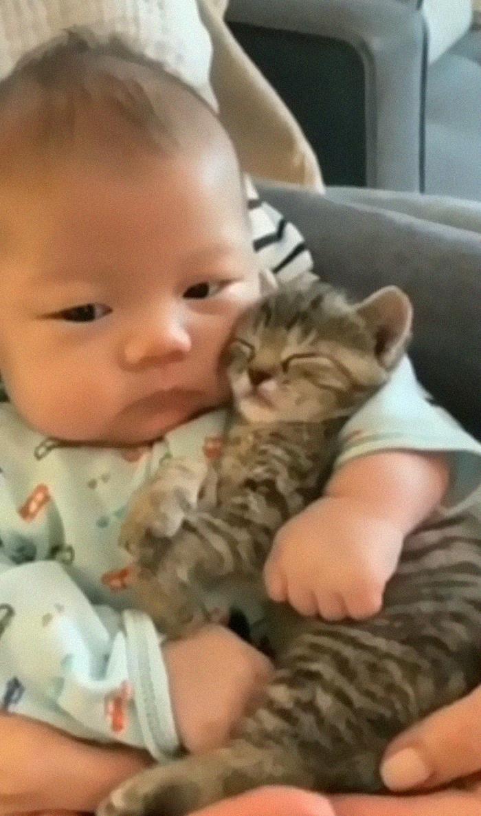 Well, They Love Each Other. Pure Love Between Baby And Kitten