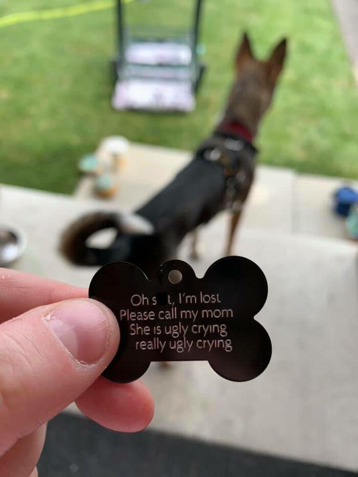 One Of Piper’s Heckin Cool Tags Came In Today