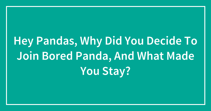 Hey Pandas, Why Did You Decide To Join Bored Panda, And What Made You Stay? (Closed)