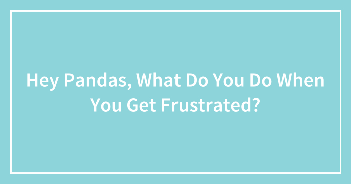 Hey Pandas, What Do You Do When You Get Frustrated? (Closed)