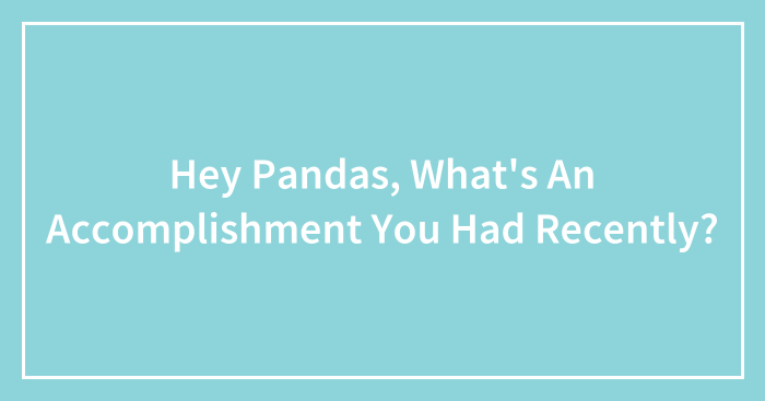Hey Pandas, What’s An Accomplishment You Had Recently? (Closed)