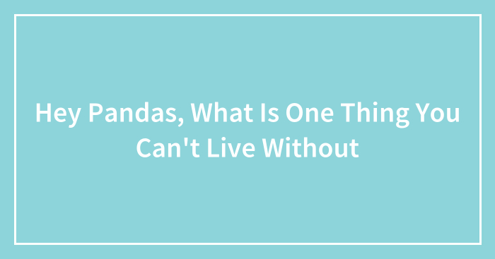 Hey Pandas, What Is One Thing You Can’t Live Without (Closed)