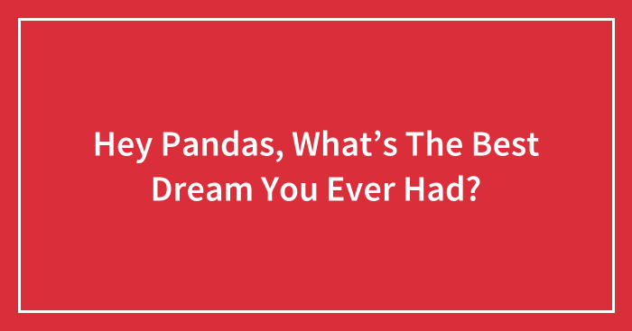 Hey Pandas, What’s The Best Dream You Ever Had? (Closed)