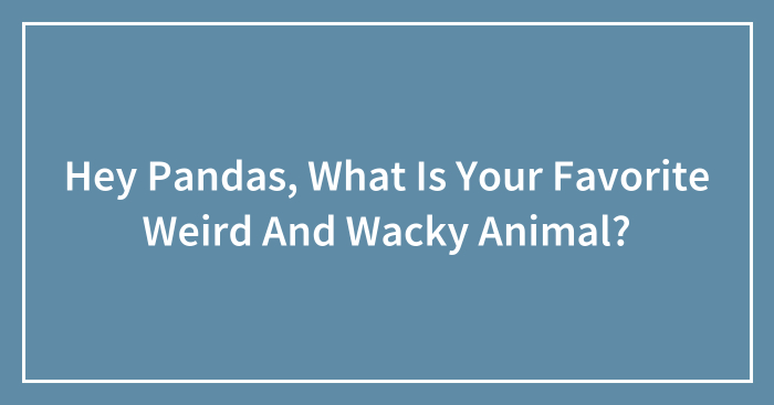 Hey Pandas, What Is Your Favorite Weird And Wacky Animal? (Closed)