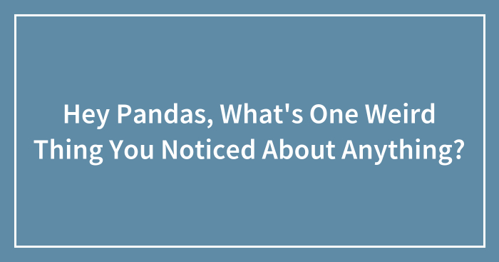Hey Pandas, What’s One Weird Thing You Noticed About Anything? (Closed)