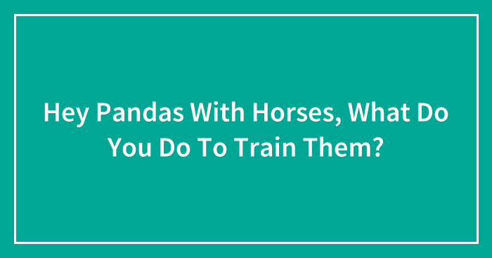 Hey Pandas With Horses, What Do You Do To Train Them? (Closed)