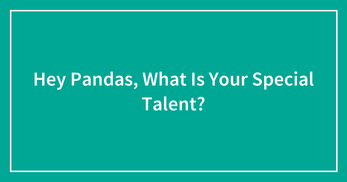 Hey Pandas, What Is Your Special Talent? (Closed)
