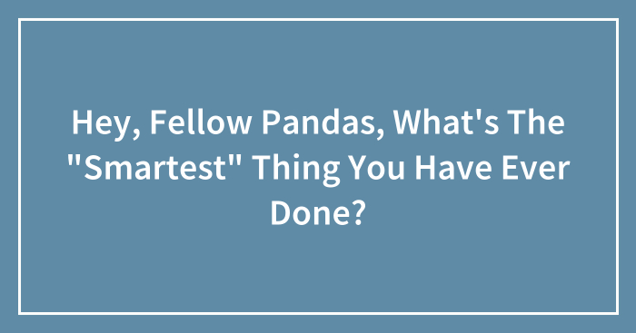 Hey, Fellow Pandas, What’s The “Smartest” Thing You Have Ever Done? (Closed)