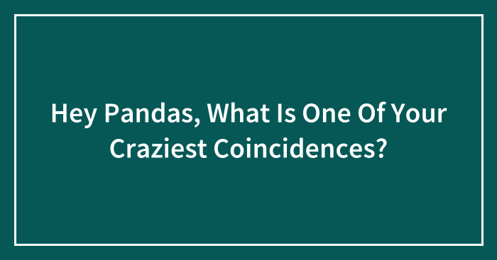 Hey Pandas, What Is One Of Your Craziest Coincidences? (Closed)