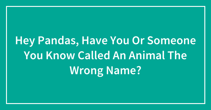 Hey Pandas, Have You Or Someone You Know Called An Animal The Wrong Name? (Closed)