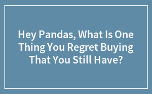 Hey Pandas, What Is One Thing You Regret Buying That You Still Have?