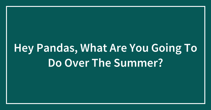 Hey Pandas, What Are You Going To Do Over The Summer? (Closed)