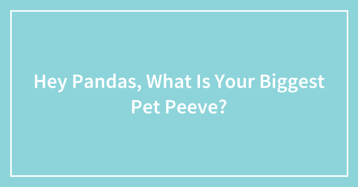 Hey Pandas, What Is Your Biggest Pet Peeve? (Closed)