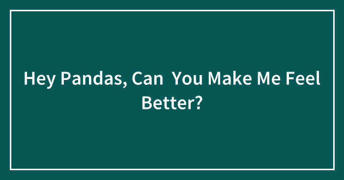 Hey Pandas, Can You Make Me Feel Better?