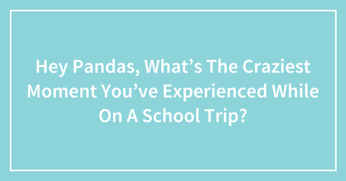 Hey Pandas, What’s The Craziest Moment You’ve Experienced While On A School Trip? (Closed)