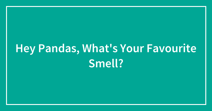 Hey Pandas, What’s Your Favourite Smell? (Closed)