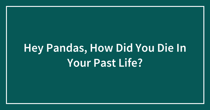 Hey Pandas, How Did You Die In Your Past Life? (Closed)