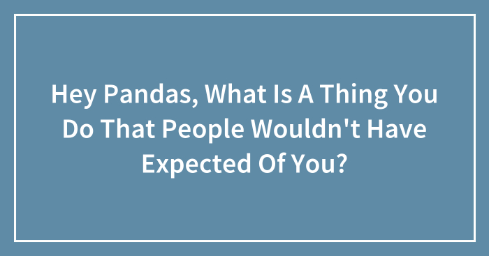 Hey Pandas, What Is A Thing You Do That People Wouldn’t Have Expected Of You? (Closed)