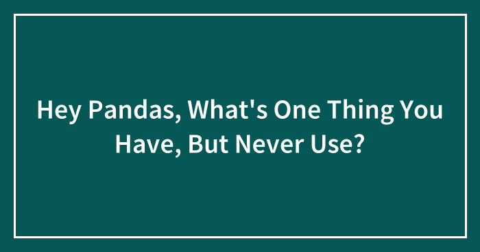 Hey Pandas, What’s One Thing You Have But Never Use? (Closed)
