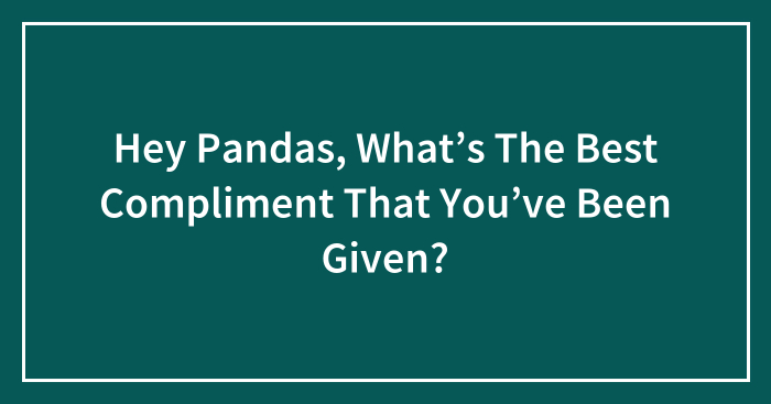 Hey Pandas, What’s The Best Compliment That You’ve Been Given? (Closed)