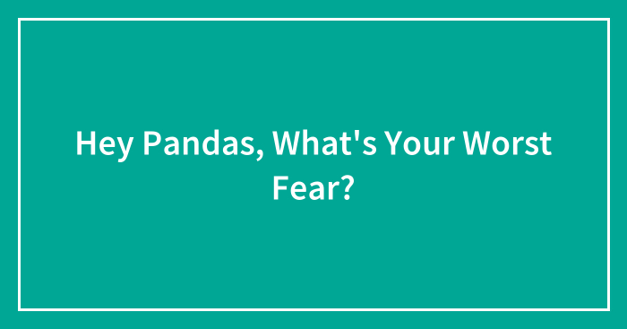 Hey Pandas, What’s Your Worst Fear? (Closed)