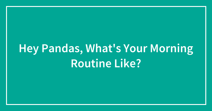 Hey Pandas, What’s Your Morning Routine Like? (Closed)