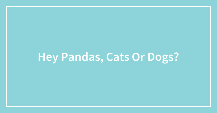 Hey Pandas, Cats Or Dogs? (Closed)