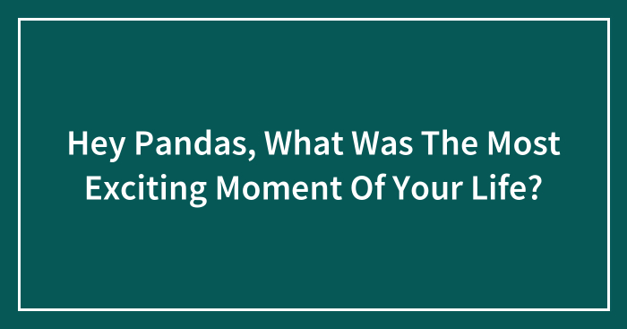Hey Pandas, What Was The Most Exciting Moment Of Your Life? (Closed)