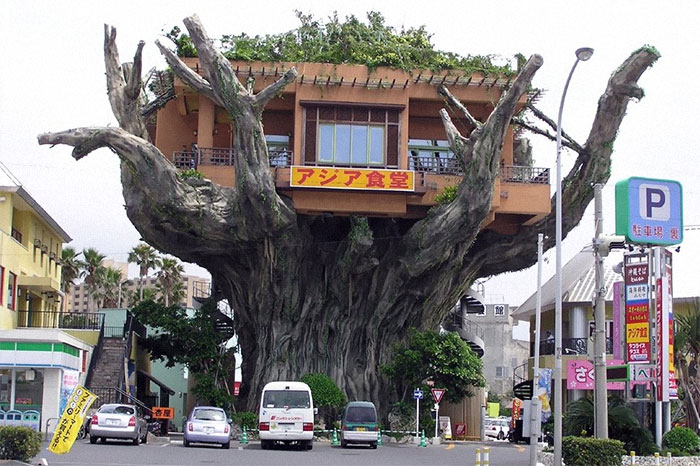 Restaurante de la casa del árbol (demolido), Okinawa