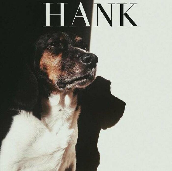 My Dog’s Self Titled Debut Album - Hank