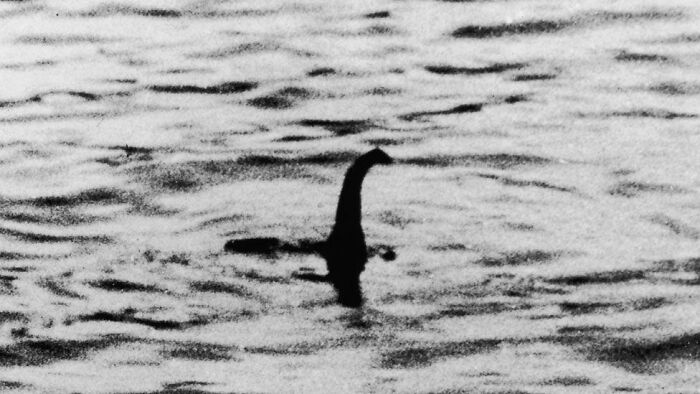 The Loch Ness Monster Is Probably A Large Eel