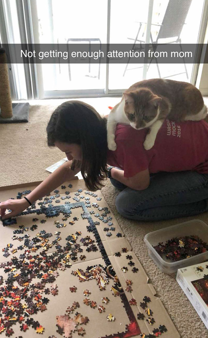 Just Trying To Do A Puzzle But Someone Demands Attention