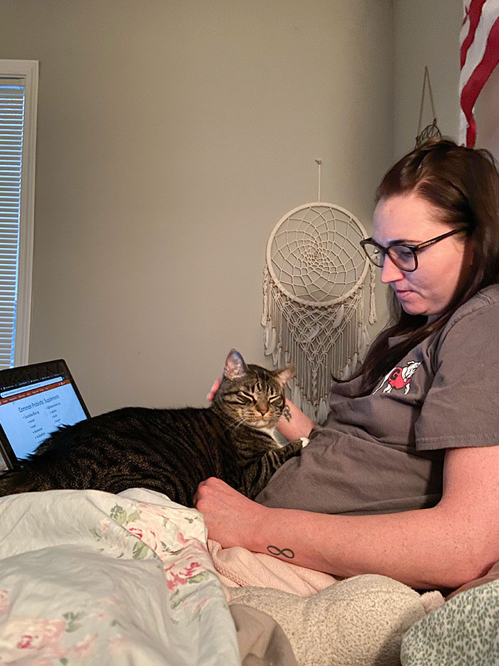 My Cat Stealing My Girlfriend, Preventing Her From Studying, And Then Looking Back At Me To See If I’m Jealous