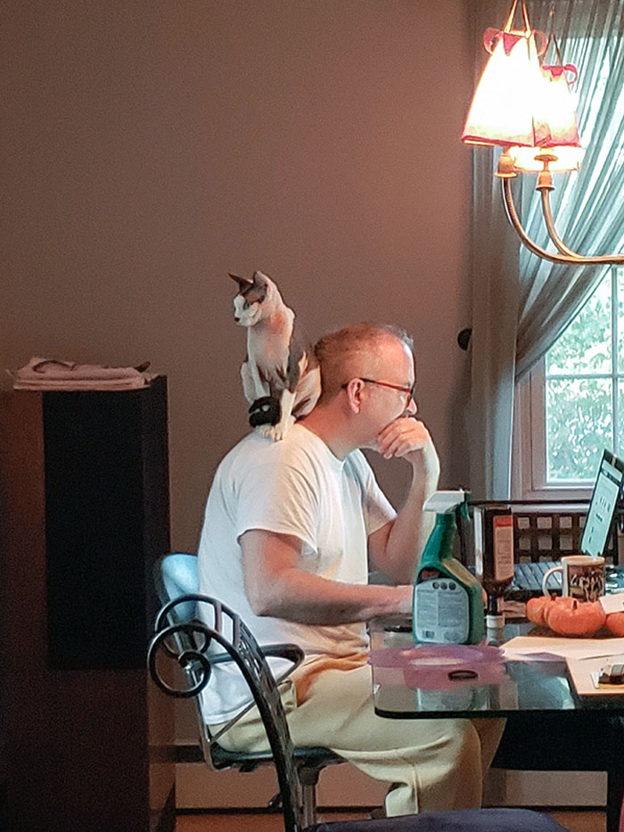 My Dad Just Trying To Get His Work Done