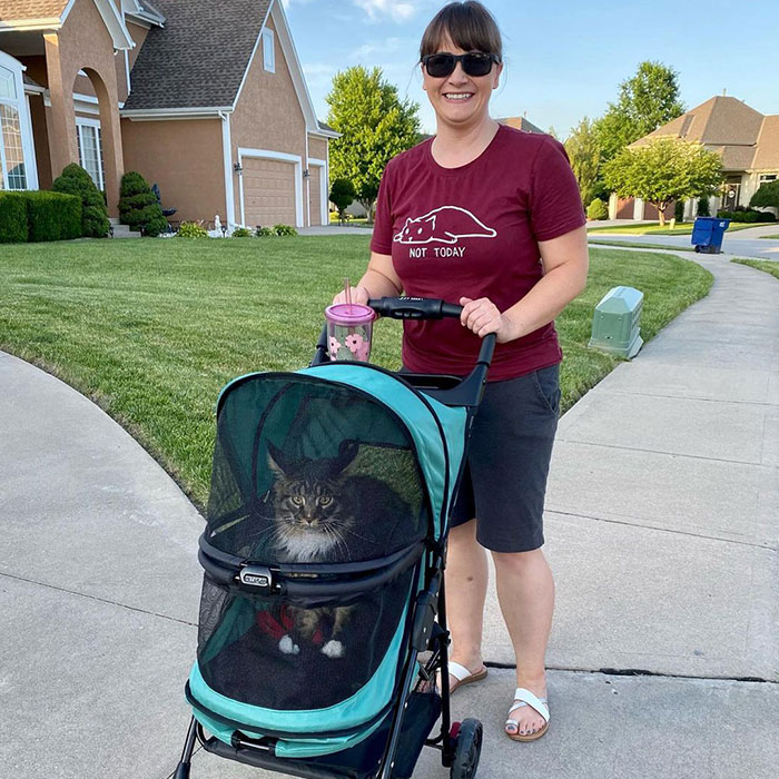 Momma Got Me A Stroller So I Can Come On Walks With Her