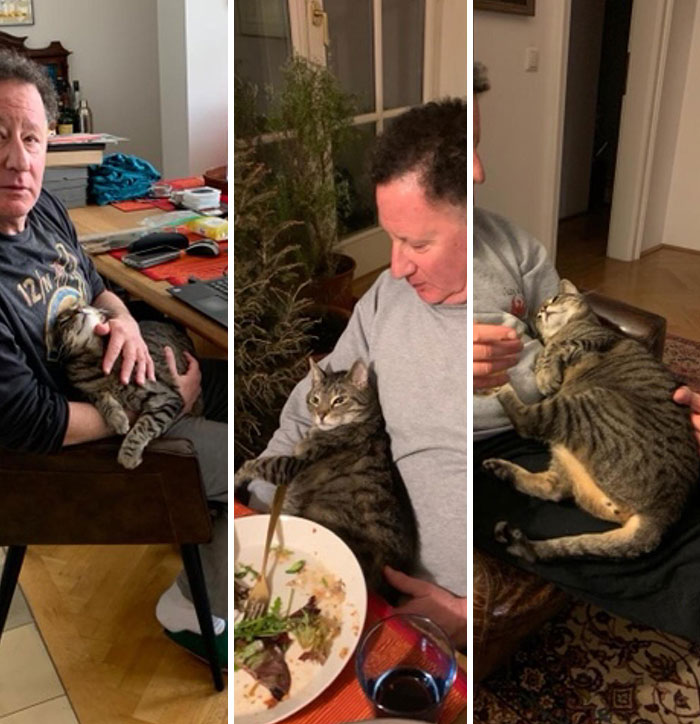 Since The Lockdown, Our Cat Demands To Be Cradled By My Dad At All Times, Especially During Meals