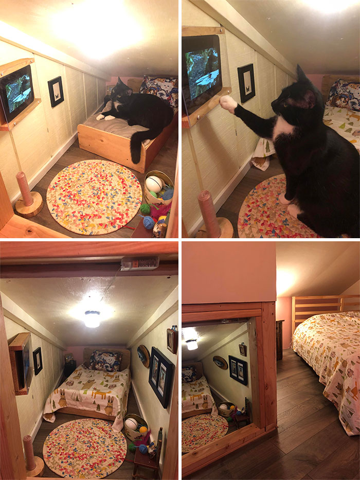 Cat Bedroom Is Complete. Birb TV Is On