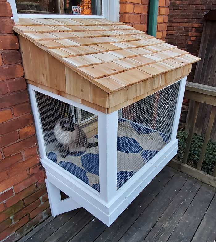 I Have Nearly Completed The Catio! Some Final Touches To Flooring And Details Tomorrow. They Already Love It