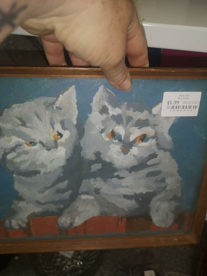 A Long Time Follower And Finally This Morning In My Local Headway Charity Shop In Derby I See What I Have Called "Angry Kitties"