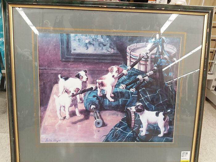 What Is He Doing With That Bag Pipe? Hamilton Ontario, Mission Thrift, 14.99$