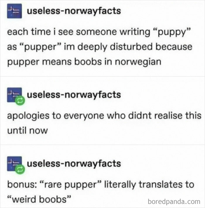 Thanks I Hate Using The Word Pupper Now