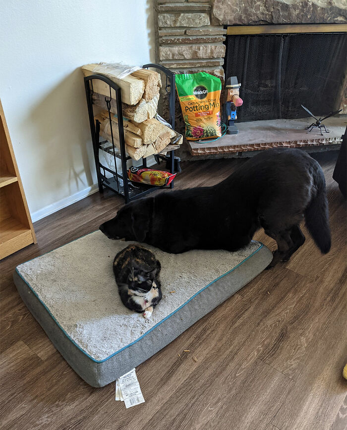 Duke Trying To Share His Bed With Pennywise