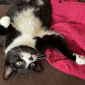 lindsay_mcnabb avatar