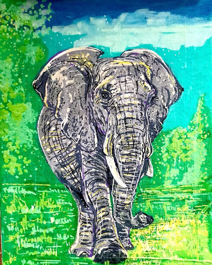 Animal Art Animal Art