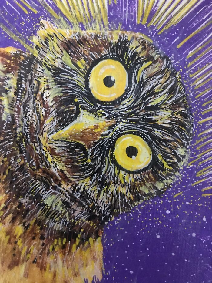 Animal Art Animal Art