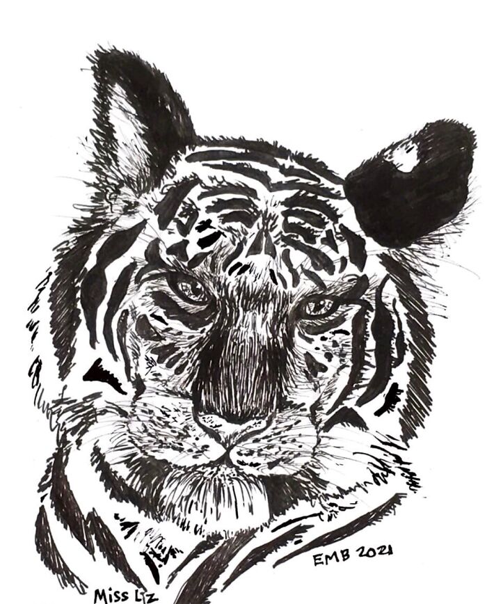Tiger I Drew For A Student