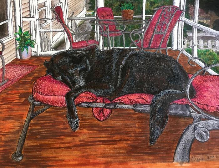 Drawing Of My Sister’s Dog, On Her Screened In Porch