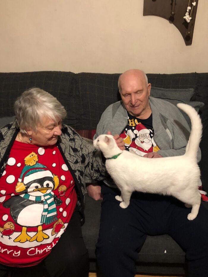 My Grandparents With My Devil Cat Storm ⛈