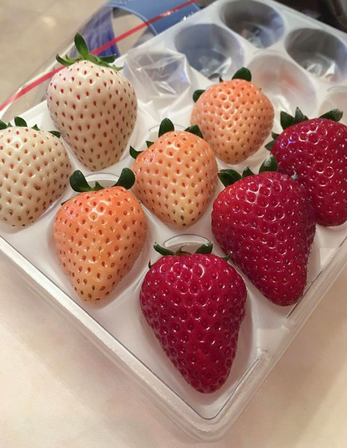 These Strawberries From Japan Come In Three Different Shades