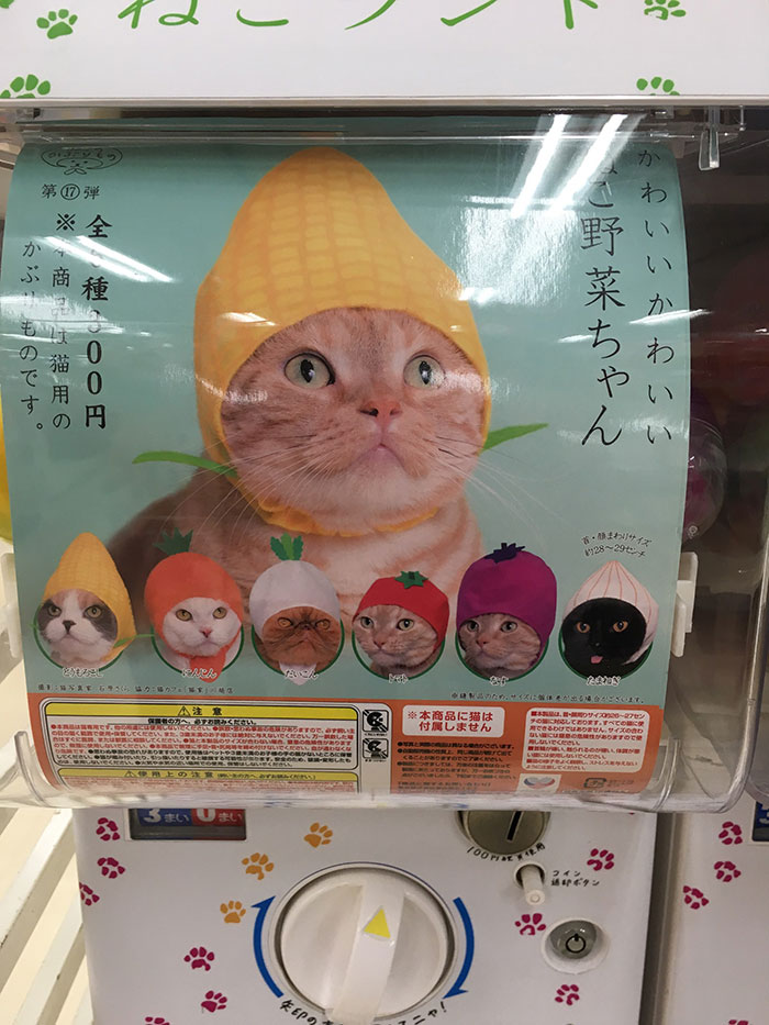 Cat Hat Vending Machines In Japan